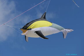 Delfin Peter Lynn