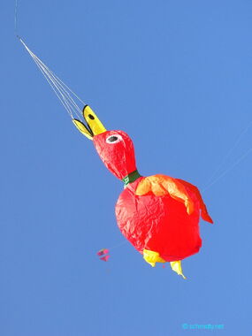 Ente rot