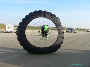 Spider Bol 3 Meter