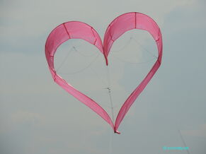 Herzdrachen Pink