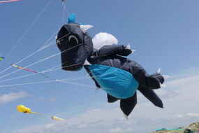 Fauchi 1 Meter