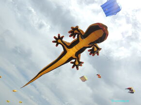 Gecko 28 meter von Peter Lynn
