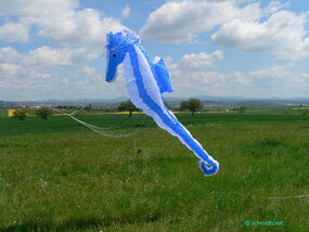 Seepferd blau-weiß