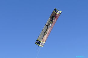 Totem Echse von Carsten Domann