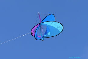 EO Atom