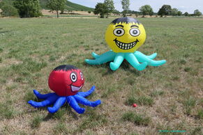 Octopus klein und gross