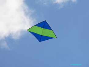 Ninja blau nach Thomas Horvath