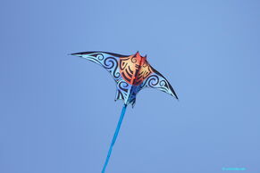 Leichtwind-Manta