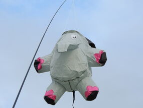 Elefant