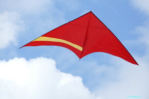 Havliceck rot