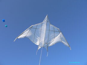 Ostend-Bird 4 Meter mit Reflex