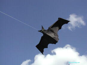 Fledermaus 3,30 Meter mit Reflexband