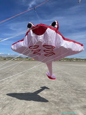 Manta 2 Meter