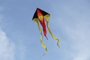 Schleierschwanz gelb-schwarz-rot